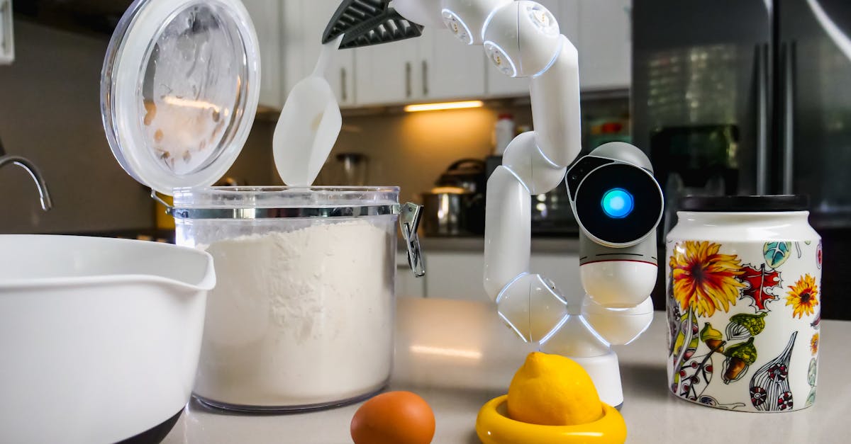 Nachhaltige Küchengestaltung: Ökologische Materialien und Technologien für die Zukunft